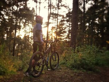 Bicycle parked by trees in forest