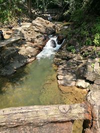 River flowing through rocks in forest