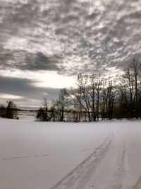 Bare trees on snow covered landscape against sky
