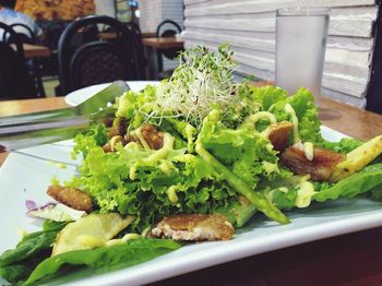 Close-up of food served on table