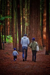 Rear view of family walking on field in forest