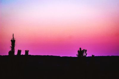 Silhouette trees against clear sky during sunset