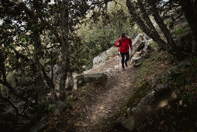 Hiker woman with trekking sticks on mountain trail in the forest.