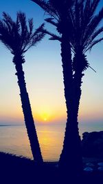 Silhouette tree on beach against sky at sunset