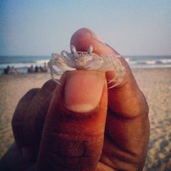 Close-up of hands on beach