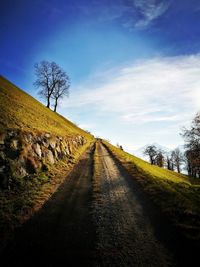 Road amidst bare trees against sky