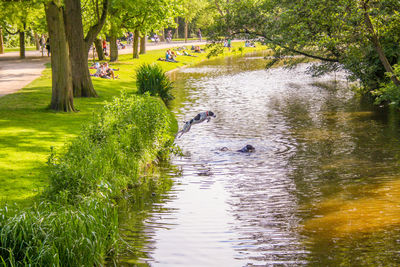View of a canal in a park
