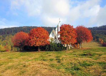 Autumn trees on field against sky