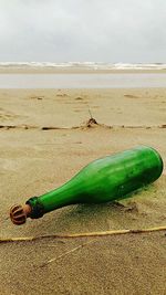 Scenic view of beach