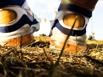 Low section of person wearing shoes on field