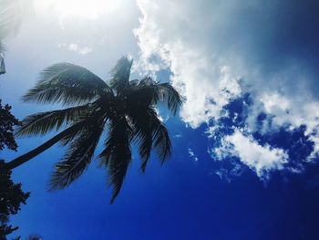 Low angle view of tree against sky