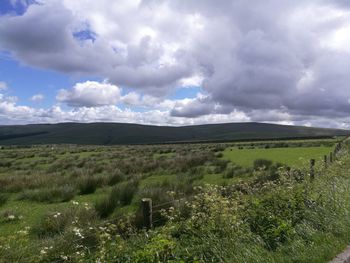 Scenic view of field against sky