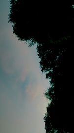 Low angle view of silhouette trees against sky