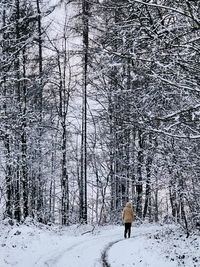 Rear view of man walking on snow covered trees