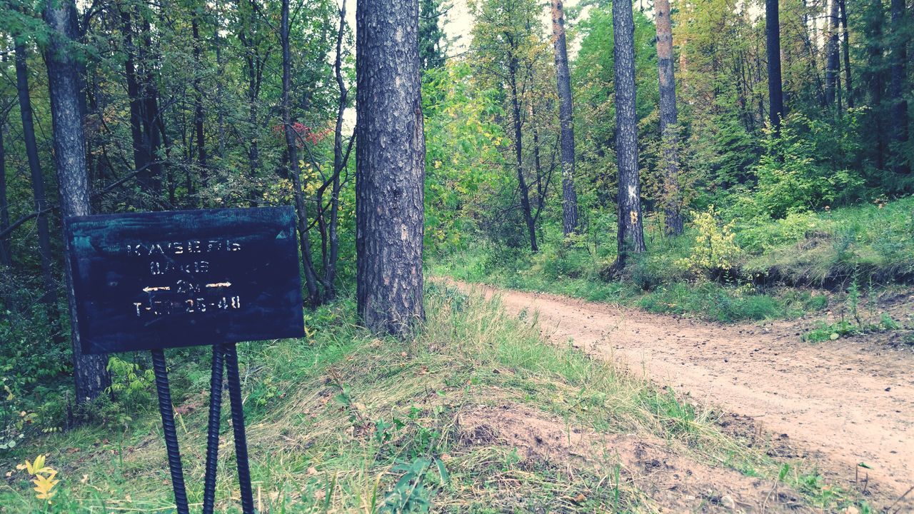 tree, tranquility, forest, tranquil scene, growth, tree trunk, nature, communication, text, the way forward, empty, landscape, western script, scenics, information sign, woodland, dirt road, beauty in nature, absence, non-urban scene