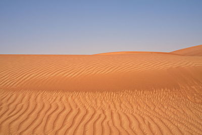 Around nazwa and pink rock desert, viewing of the sand and plant in the desert, sharjah, uae