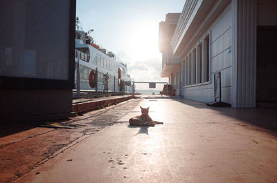 Street amidst buildings in city