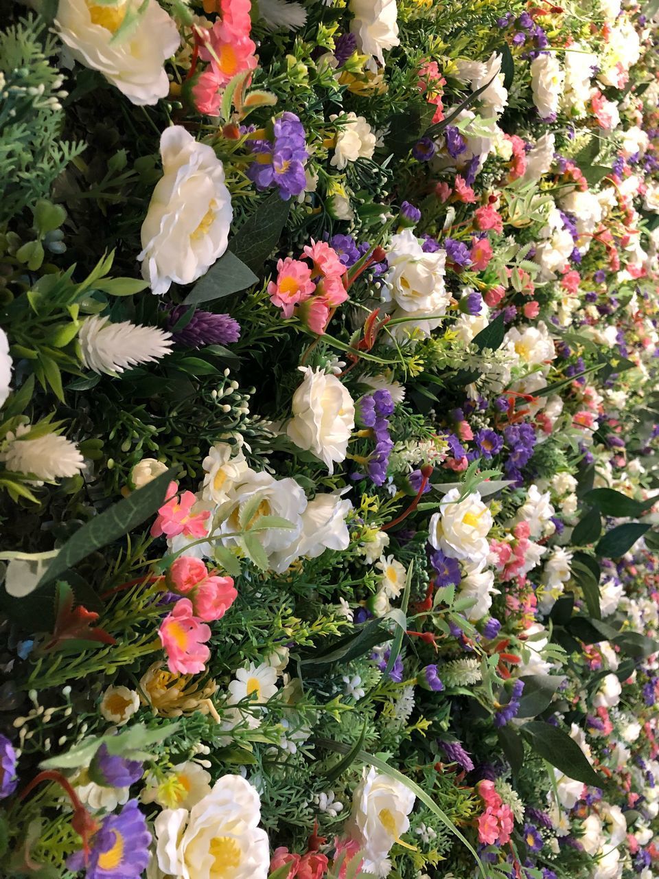 HIGH ANGLE VIEW OF MULTI COLORED FLOWERING PLANTS