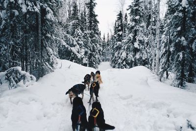 Scenic view of snow covered landscape