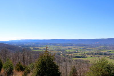 Scenic view of landscape against clear blue sky