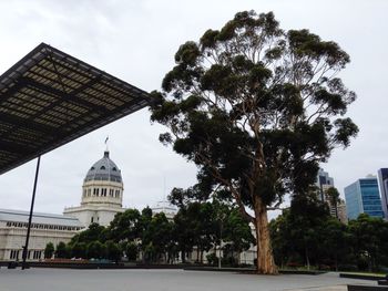 View of trees and buildings against sky