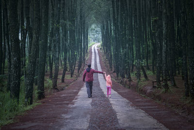 Rear view of father and daughter walking on road