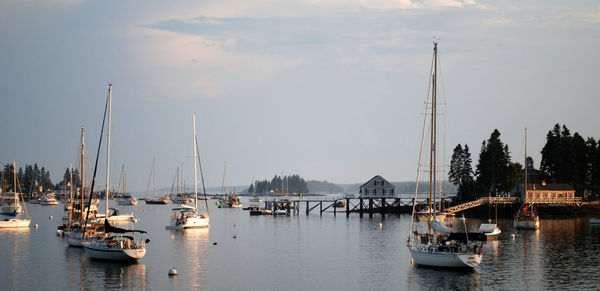 Boats moored at harbor against sky