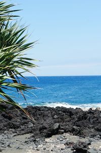 Scenic view of sea against clear sky