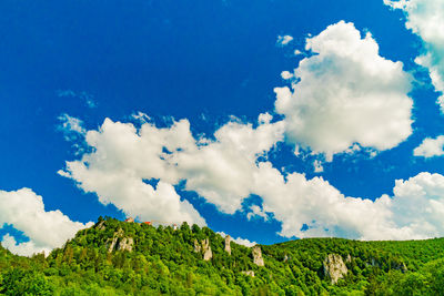 Low angle view of trees on land against blue sky