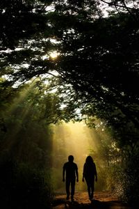 Rear view of silhouette people walking on forest