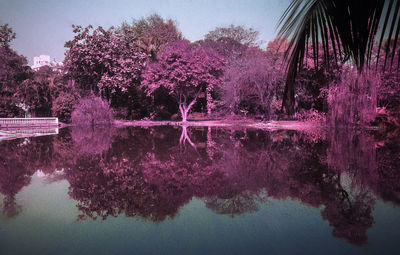 Reflection of trees in lake against sky