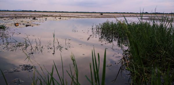 Scenic view of lake against sky