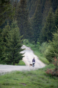 Man walking on road amidst trees