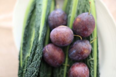 Close-up of fruits in container