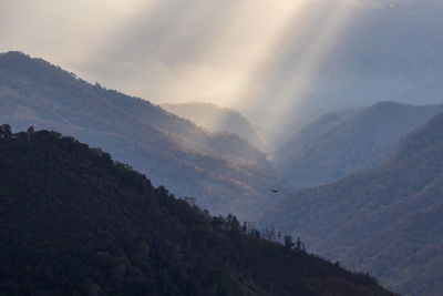 mountain
