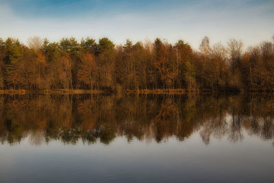 Reflection of trees in lake against sky