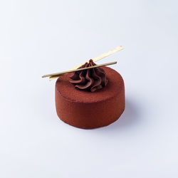 Close-up of chocolate cake against white background