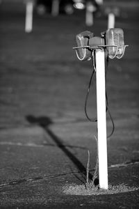 Close-up of plant against blurred background