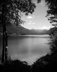 Scenic view of lake by trees against sky