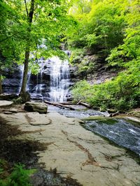 Stream flowing through rocks in forest