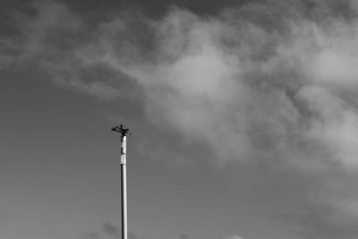 Low angle view of street light against sky