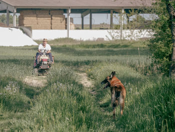 Side view of man with dog on grassy field