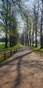 Empty road along trees in park