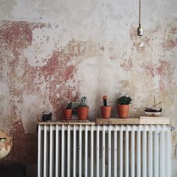 Potted plants against wall at coffee shop