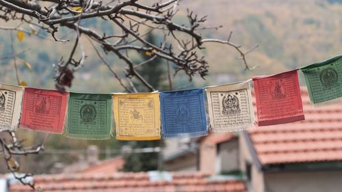 Close-up of flags hanging