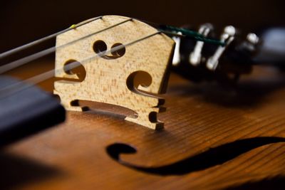 Cropped image of musical instrument