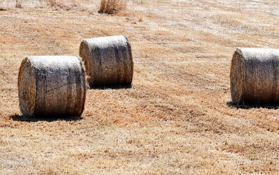 Dried hay bales in cyprus landscapes