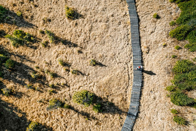 Aerial view of wooden path in peatland