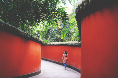 Close-up of red wall