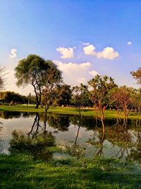 Scenic view of calm lake against trees